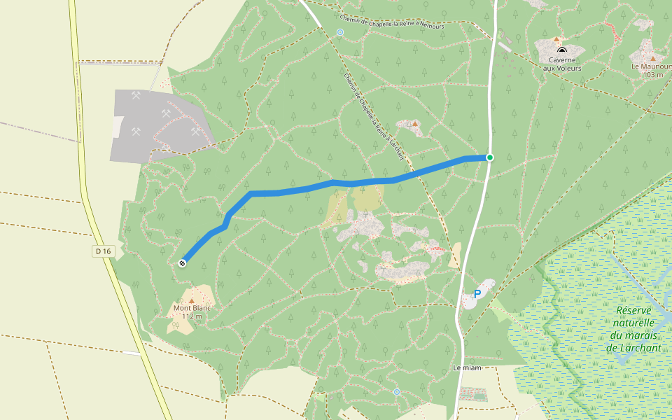 Route de Bois d'Hyver walking route map in Larchant