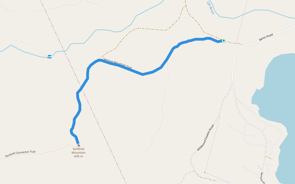 Sentinel Mountain Trail walking route map in Ossipee