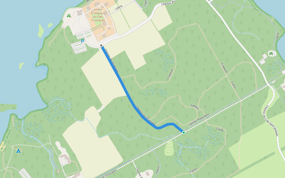 Chemin de l'Érablière