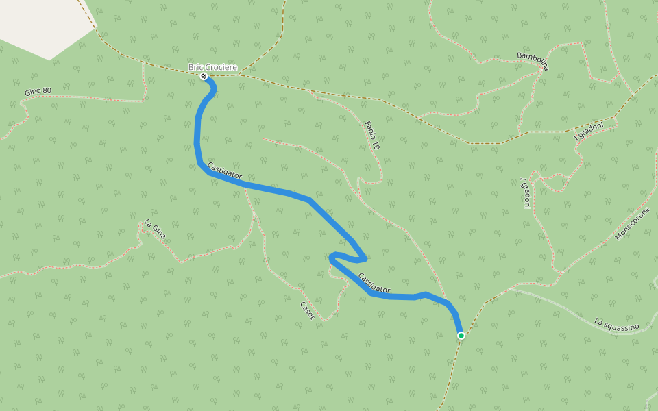 Castigator walking route map in Cascine Roasio