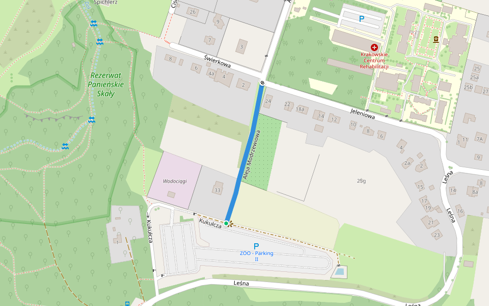 Aleja Modrzewiowa walking route map in Kraków