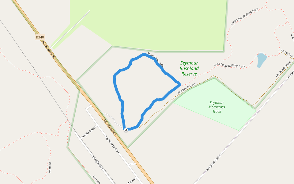 Short Loop Walk walking route map in Seymour