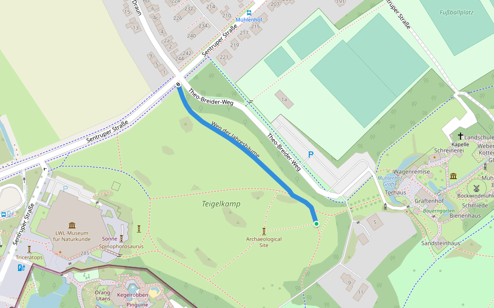 Weg der Jahresbäume