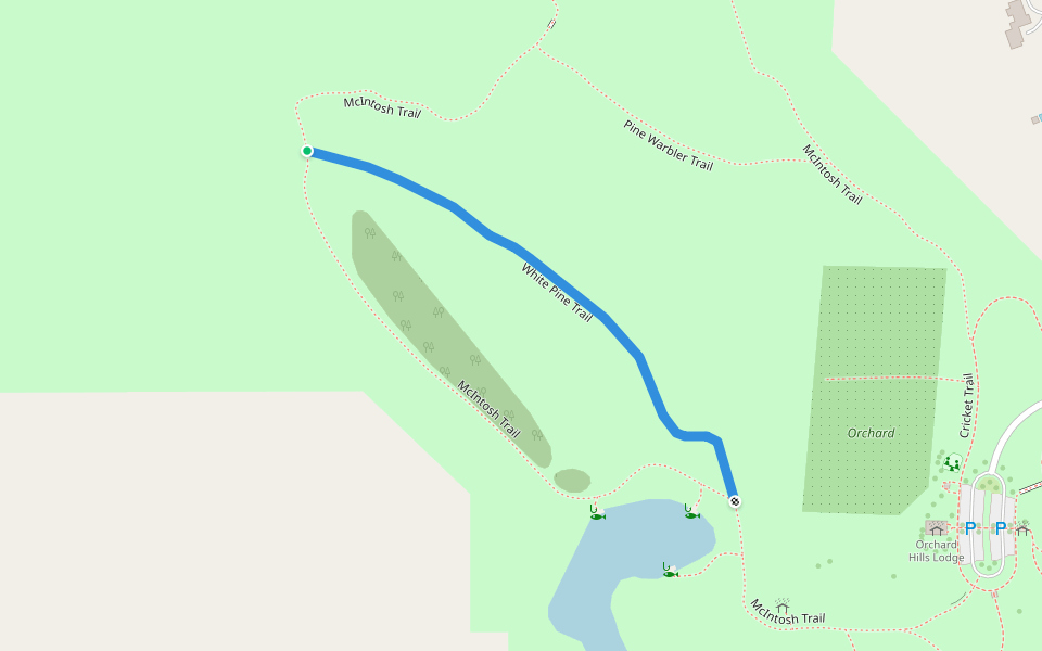 White Pine Trail walking route map in Chesterland