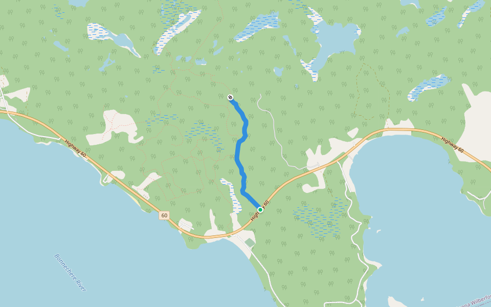 Sauers Mountain Trail Hiking Golden Lake, Ontario Pacer