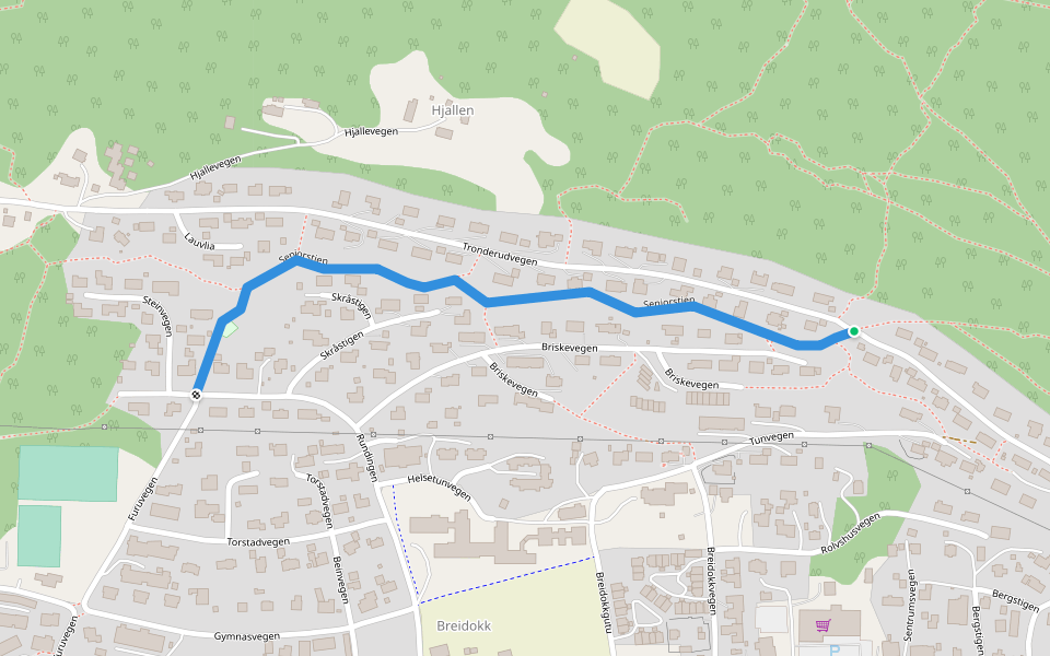 Seniorstien walking route map in Gol
