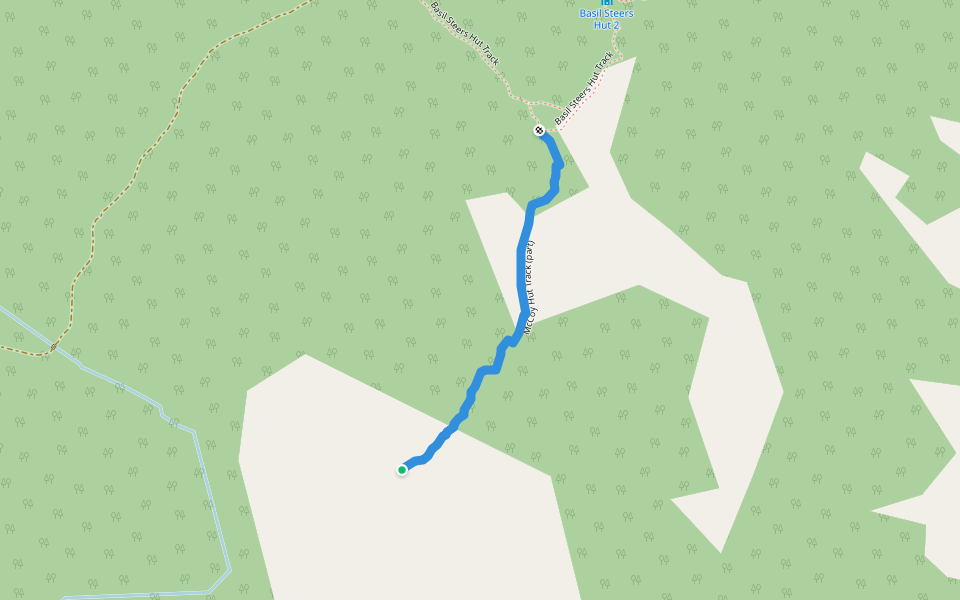 McCoy Hut Track (part) walking route map in Cradle Mountain