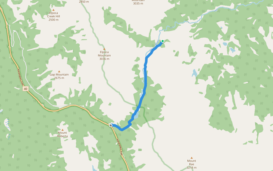 Elbow Pass/Lake Trail