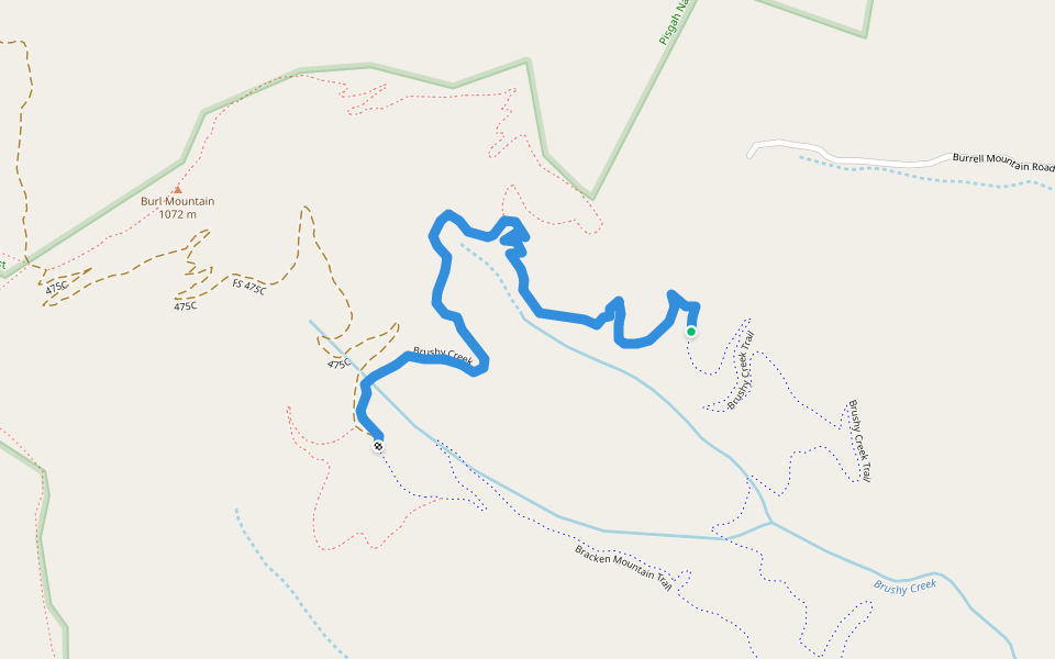 Brushy Creek walking route map in Brevard