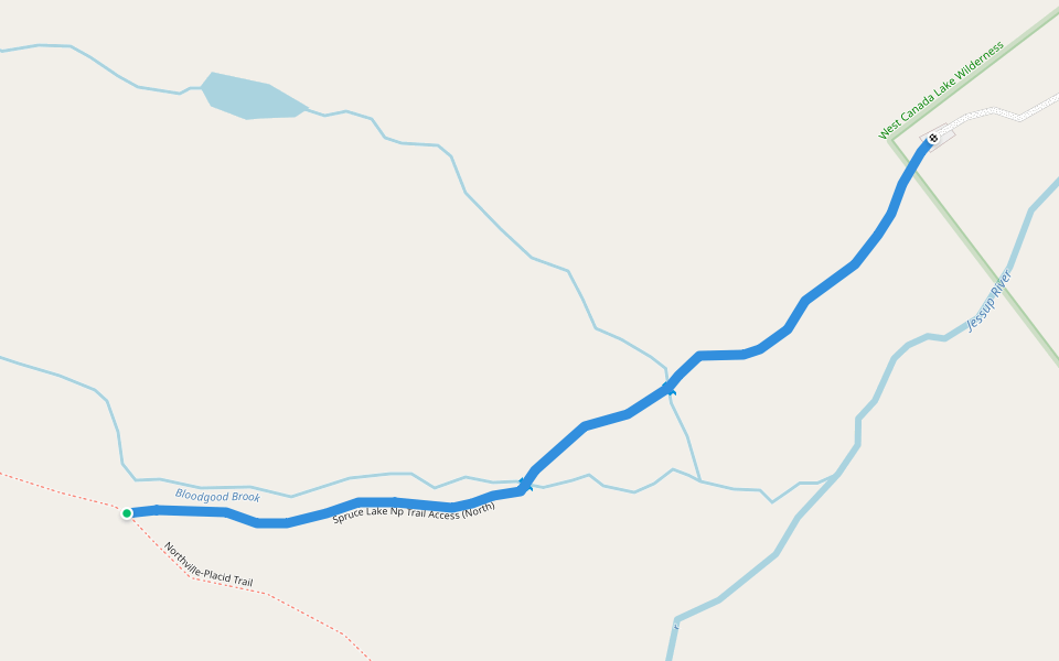 Spruce Lake Np Trail Access (North) walking route map in Piseco