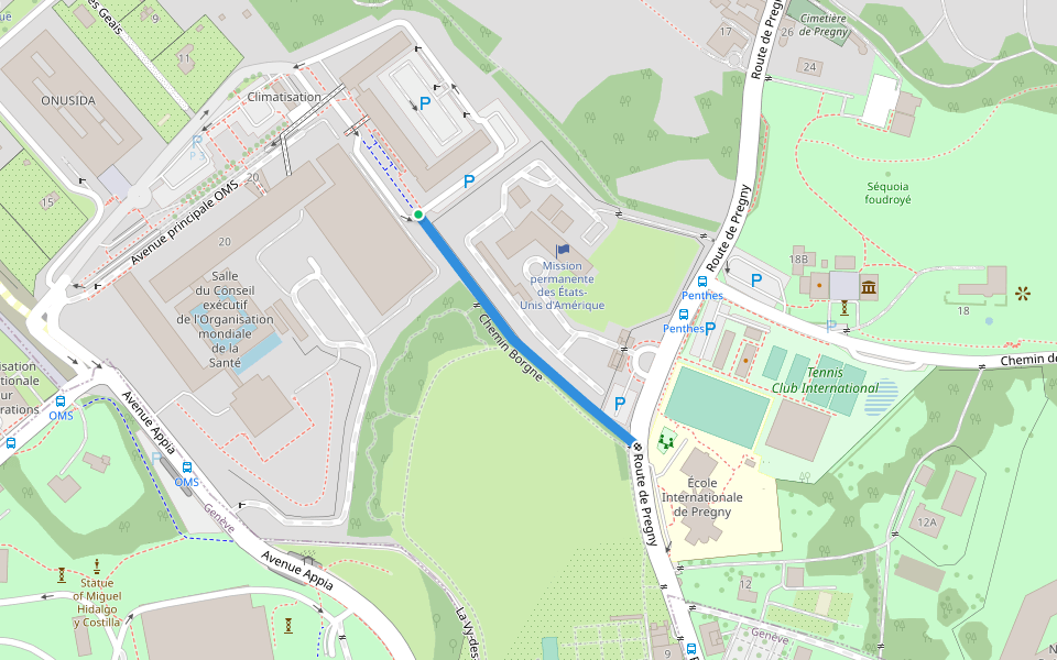 Chemin Borgne walking route map in Pregny-Chambésy