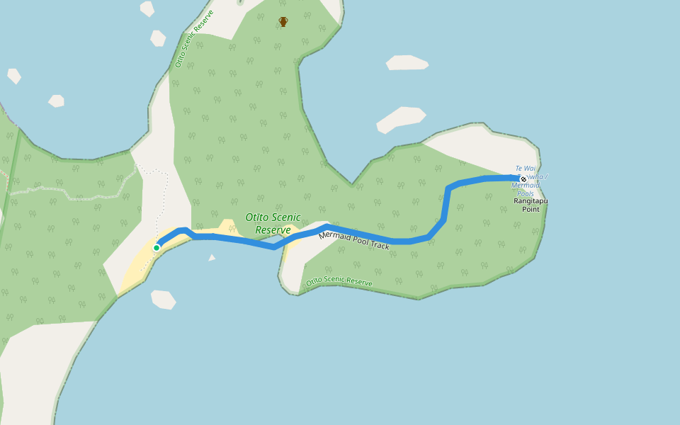Mermaid Pool Track walking route map in Matapouri