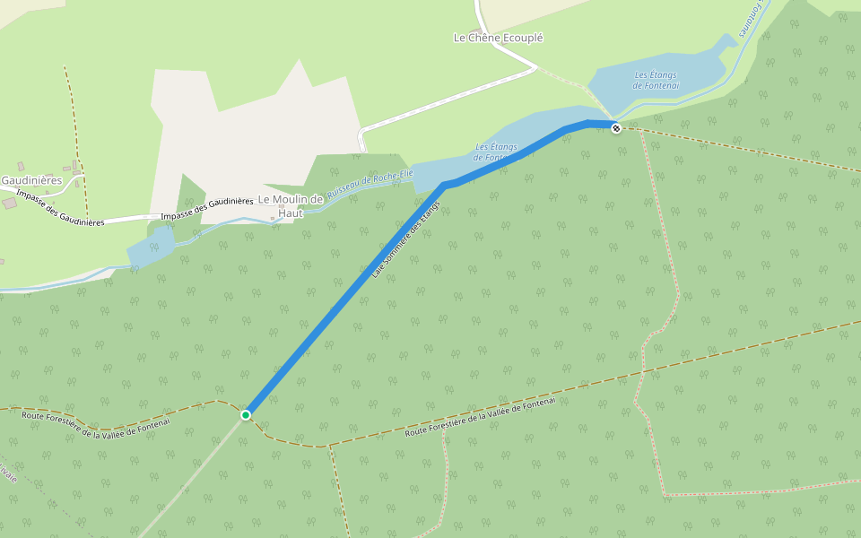 Laie Sommière des Etangs walking route map in L'Orée-d'Écouves