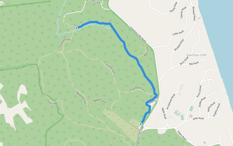 Swamp Trail walking route map in Port Republic