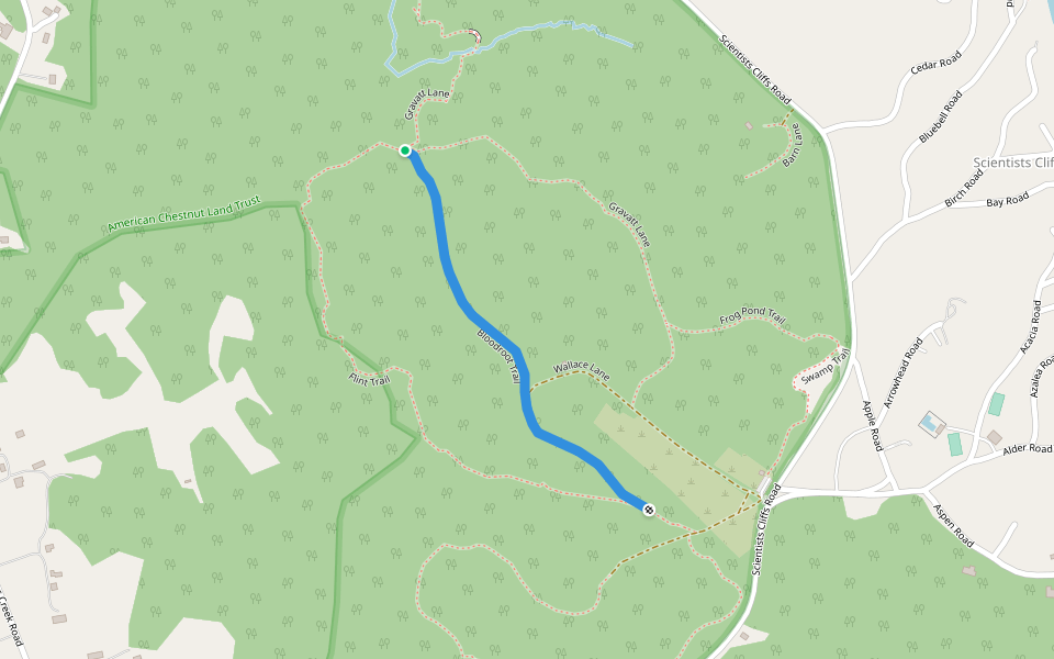 Bloodroot Trail walking route map in Port Republic