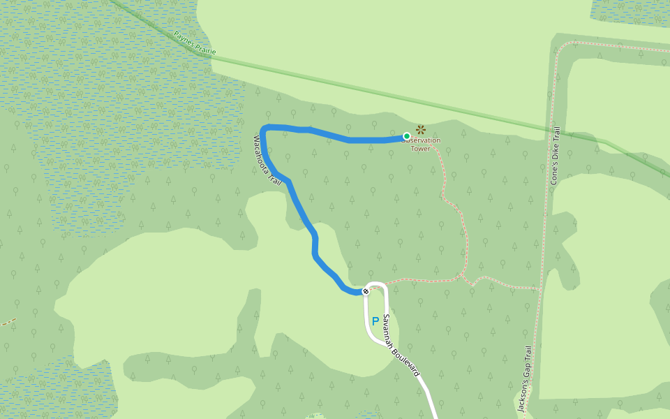 Wacahoota Trail walking route map in Micanopy