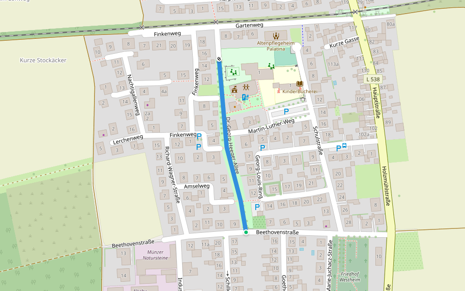 Dr.-Georg-Heeger-Allee walking route map in Westheim(Pfalz)