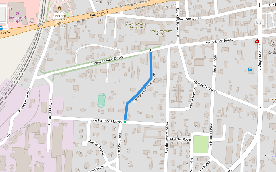 Chemin de l'Orme Gallois walking route map in Arcis-sur-Aube