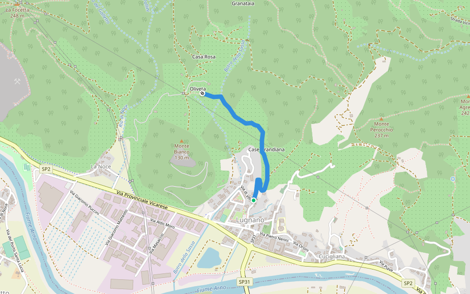 Strada vicinale delle Sasse walking route map in Vicopisano