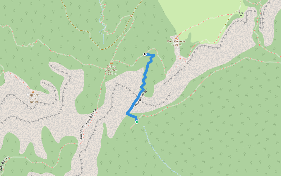 Ganxos Vells walking route map in Joanetes