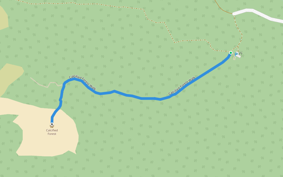 Calcified Forest Walk walking route map in Surprise Bay
