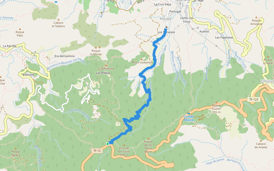 Las Vueltas de Taganana