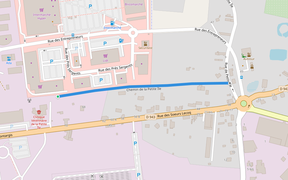 Chemin de la Petite Île walking route map in Joigny