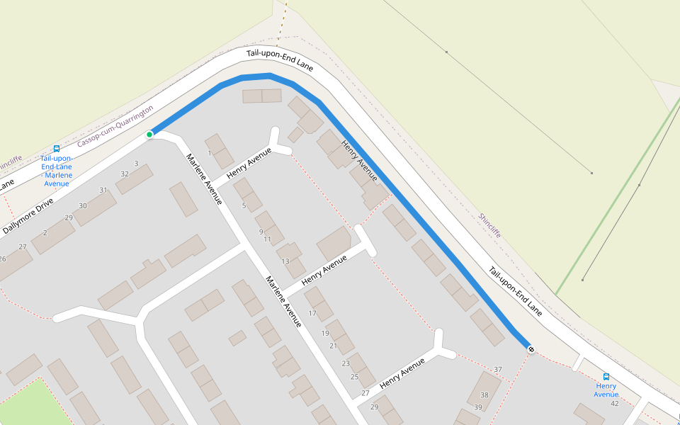 Henry Avenue walking route map in Bowburn