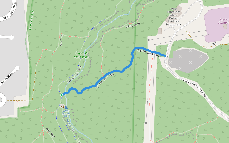 Cypress Creek Trail