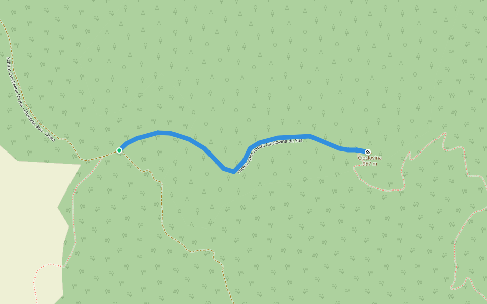 Potecă spre schitul Cioclovina de Sus walking route map in Sohodol