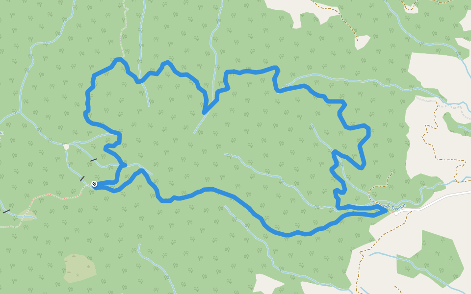 Lindermanns Loop Track