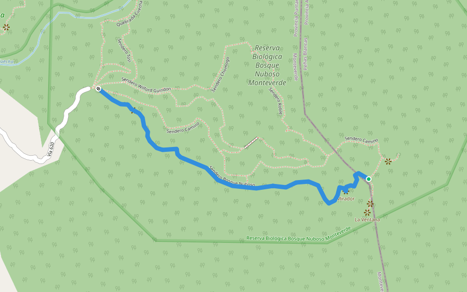 Sendero Bosque Nuboso