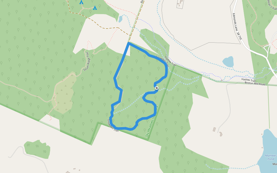 Snowden Trail walking route map in Markham
