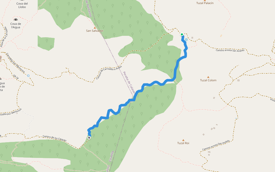 Camino de los Cieguez walking route map in Alins del Monte