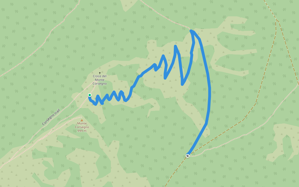Vertical Trail Walking and Running Marche Pacer
