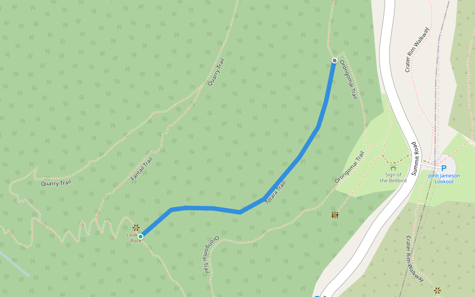 Totara Trail walking route map in Allandale
