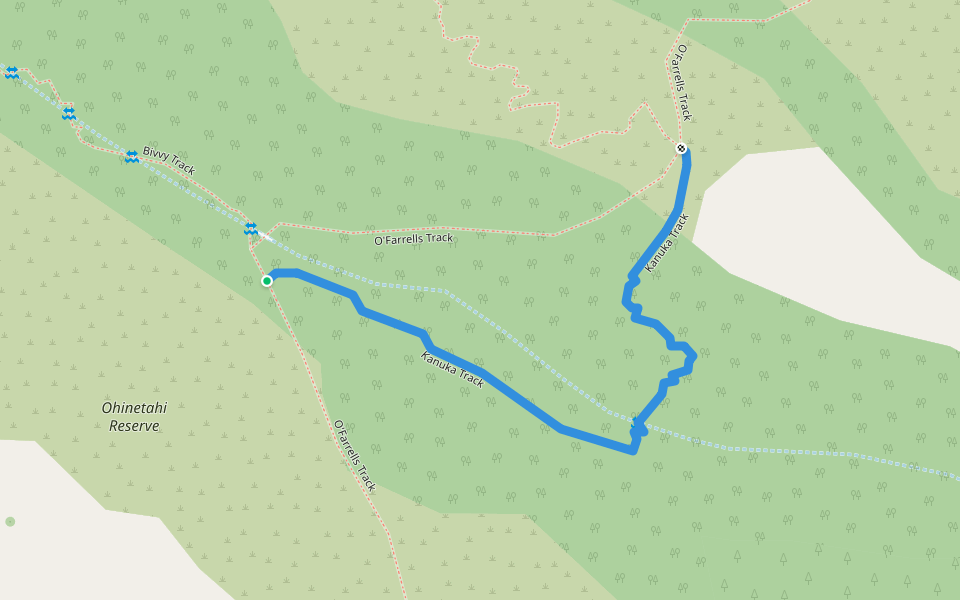 Kanuka Track Walking and Running Allandale, Canterbury Pacer