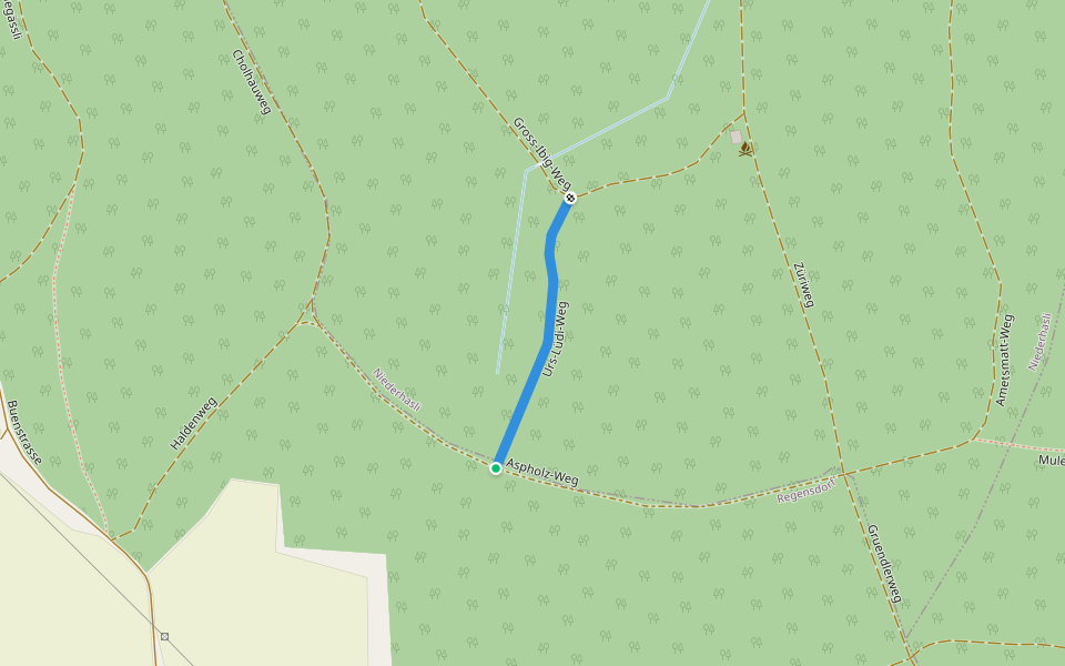 Urs-Lüdi-Weg walking route map in Watt
