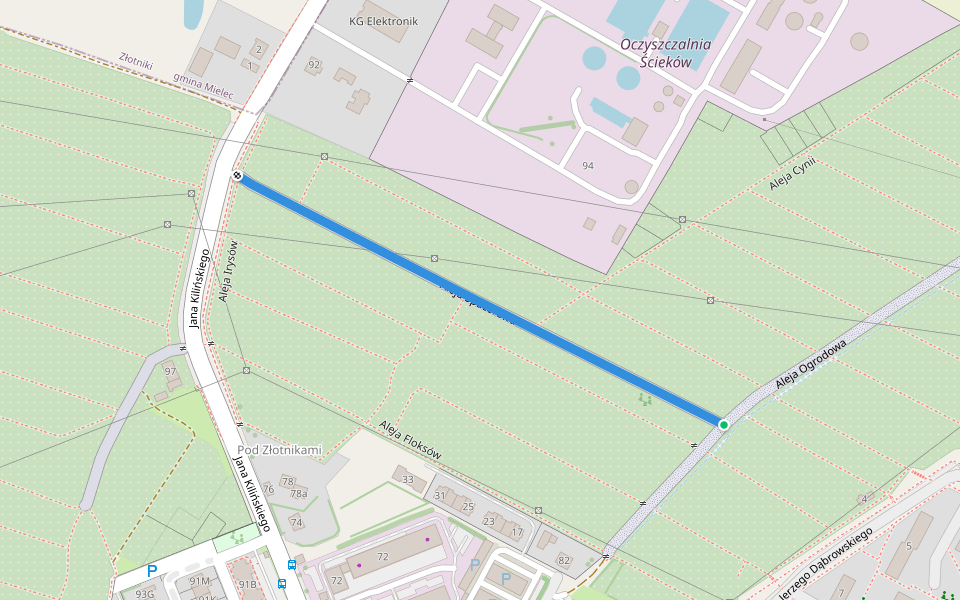 Aleja Spacerowa walking route map in Mielec