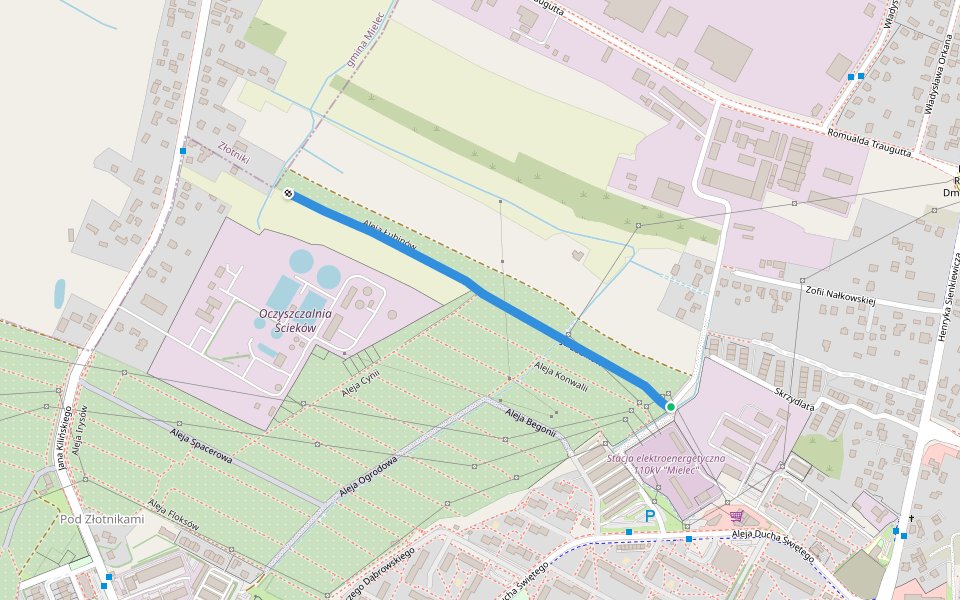 Aleja Łubinów walking route map in Mielec