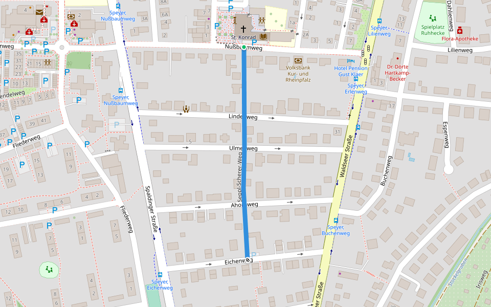 Seppl-Scherer-Weg walking route map in Speyer