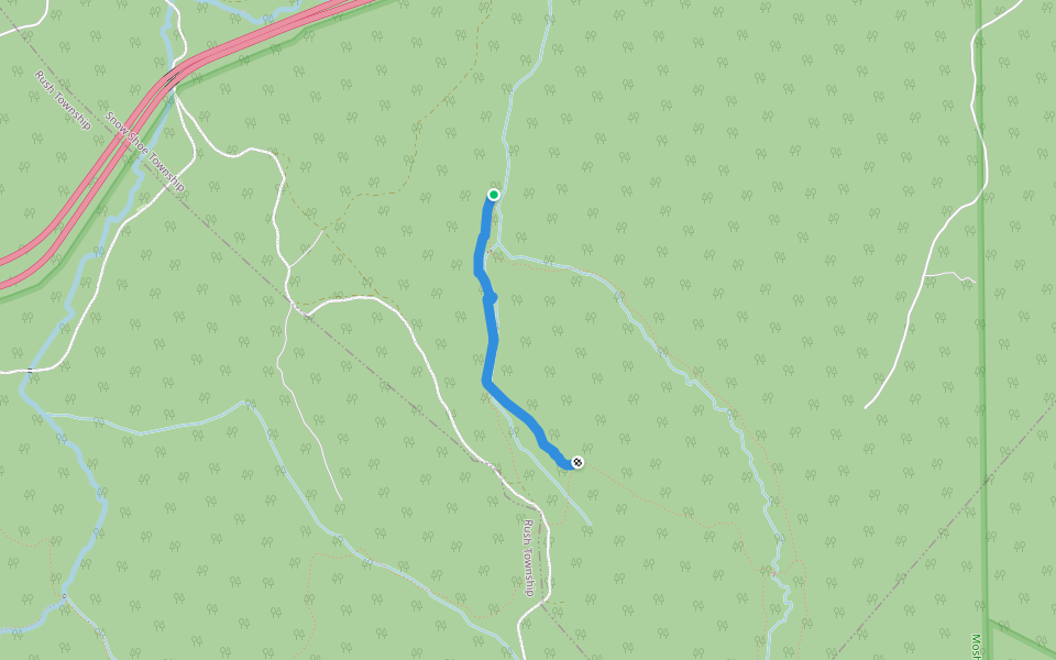 Forks Trail walking route map in Snow Shoe