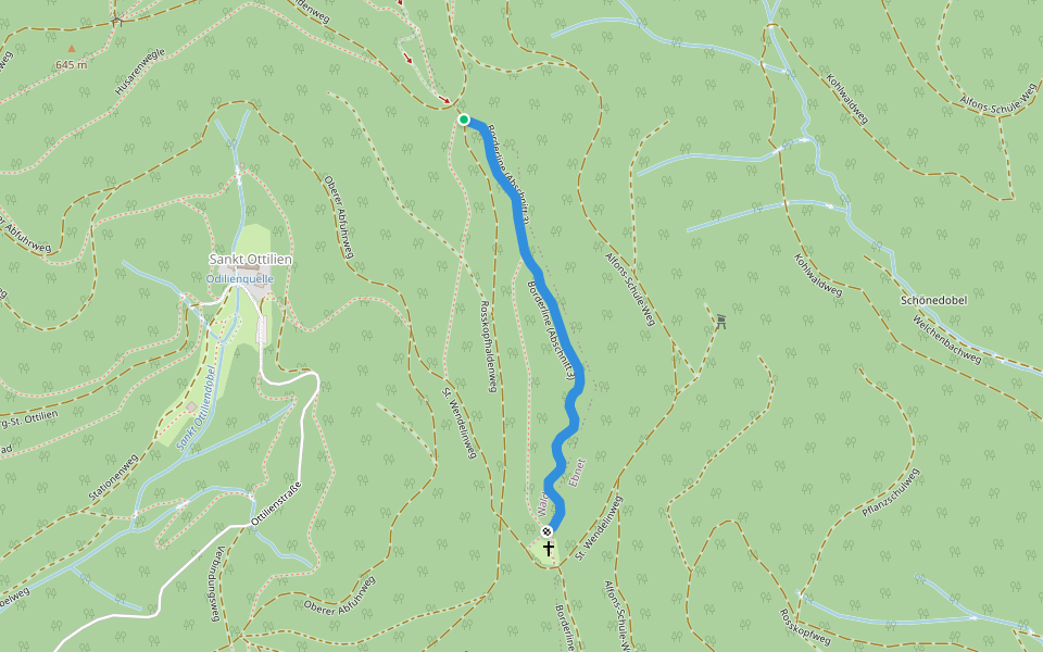 Borderline (Abschnitt 3) walking route map in Freiburg im Breisgau