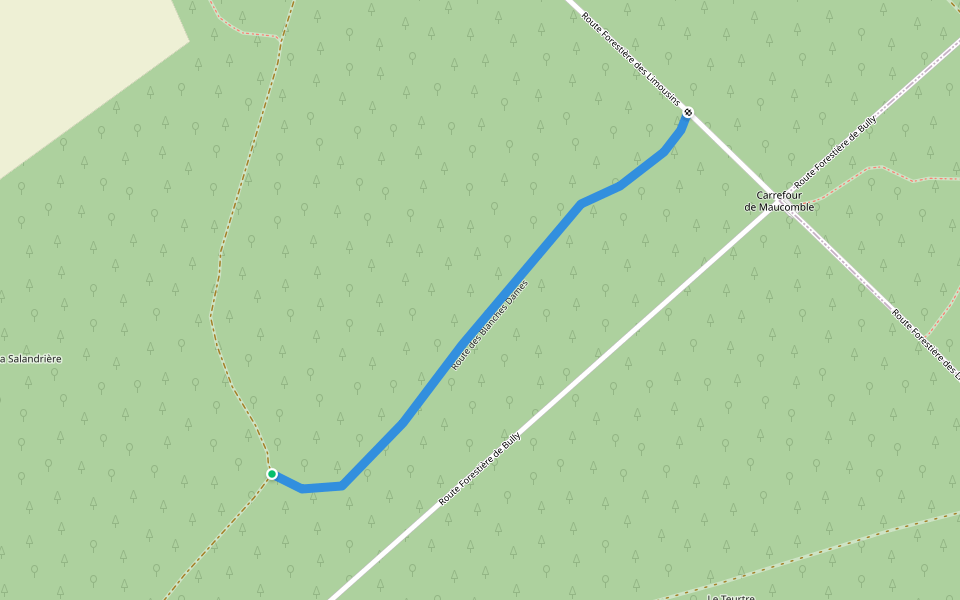 Route des Blanches Dames walking route map in Saint-Saëns