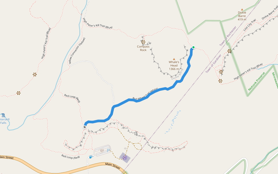 Bull Wheel Trail (White)