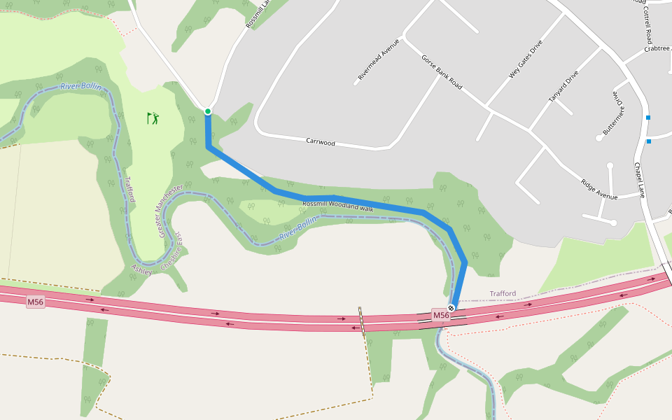 Rossmill Woodland walk walking route map in Hale Barns