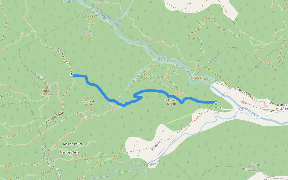 Camí de les Virtuts walking route map in Alcover