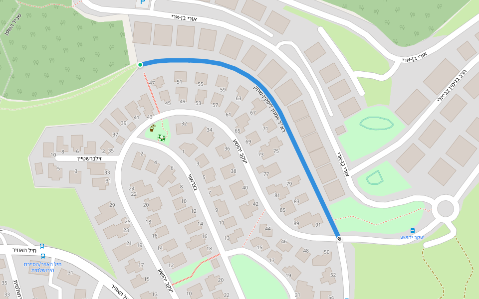 רא"ל אמנון ליפקין-שחק