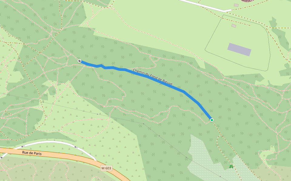 Chemin du Fond de Bieuvé walking route map in Rozérieulles