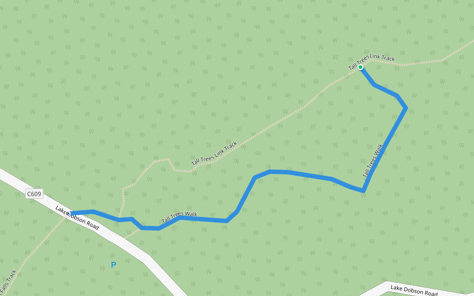 Tall Trees Walk walking route map in Mount Field